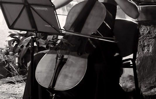 Alexandra Efterescu cellist