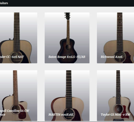 Best Guitars
